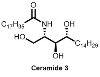 Ceramide AP(图1)