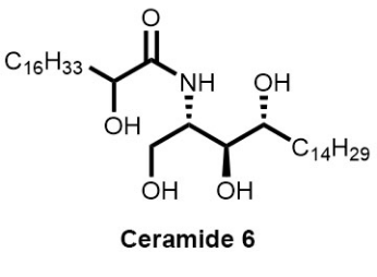 Ceramide AP(图2)