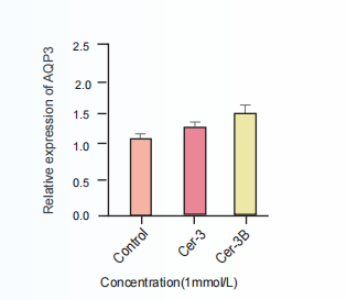 How to use ceramides? Take this experimental biochemical data on ceramide 3/3B !(图3)